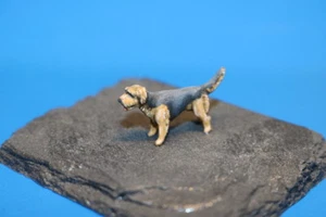 - NEU - Hund 1 - Terrier, Maßstab 28mm (1:56) - Bild 1 von 4