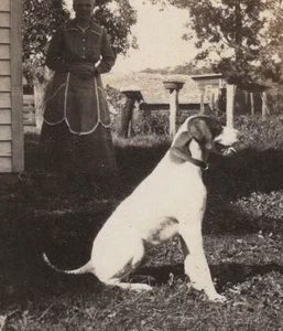 1920s Profile Portrait Cute Adorable Pet Dog Woman Owner Farmers Wife Background - Picture 1 of 3