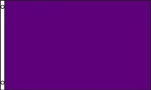 3x5 Solid Plain Purple Flag 3'x5' house banner premium fade resistant 100D - Picture 1 of 2