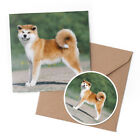 1 x Greeting Card & 10cm Sticker Set - Akita Puppy Dog Pets #3027