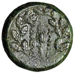 King of Syracuse: Pyrrhos "Athena / Grain in Oak Wreath" Rare Good Very Fine - Picture 1 of 5