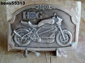⭐HARLEY OWNERS GROUP HOG OFFICER 2020 CHAPTER MEDALLION PLAQUE W. STAND ELECTRIC - Picture 1 of 4