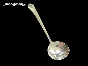 Cimelio "Damask Rose" Mestolo Gravy in argento sterling 6 1/4" - Foto 1 di 3