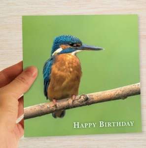 Tarjeta en blanco de cumpleaños Kingfisher - British River Birds Wildlife Nature - Freepost - Imagen 1 de 13