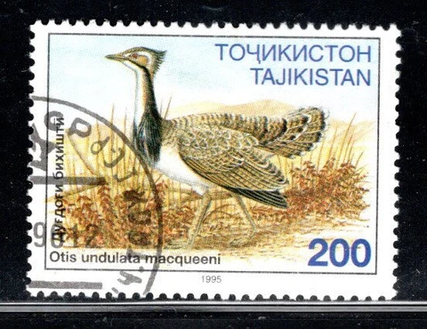 TAJIKISTAN ASIA STAMPS   USED   LOT 1754AT Cover