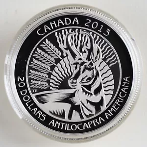 2013 Canada 20 $ Untamed Canada: Pronghorn 99,99% Fine Silver Coin in OGP - Bild 1 von 18