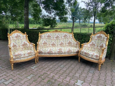 French Louis XVI Style sofa set with two bergere chairs-3 pieces Cover