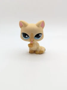CAT #981 - Auténtico Littlest Pet Shop - Hasbro LPS - Imagen 1 de 6