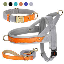 Personalized Dog Collar & Harness & Leash with Handle Nylon Leather Adjustable