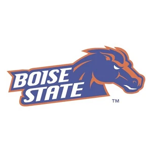 Calcomanía adhesiva troquelada de vinilo resistente a la intemperie Boise State Broncos NCAA 06 - Imagen 1 de 1