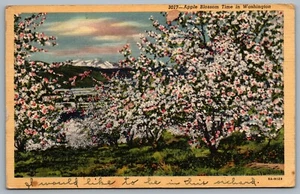 Postcard Washington c1945 Apple Blossom Time Scenic View Mount Rainier - Foto 1 di 2