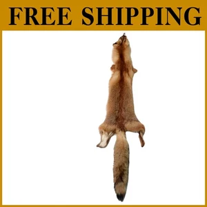 Red Fox Fur Hide DIY Crafts 44-49" Trapping Coats - Picture 1 of 9