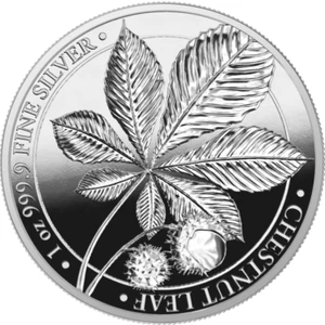 5 Mark Germania - Chestnut Leaf - Kastanienblatt Proof 1 OZ Silver Pp 2021 - Imagen 1 de 4