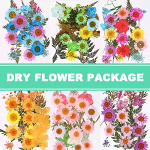 Real Dried Embossed Mixed Dried Flowers DIY Candle Greeting Card Resin Crafts - Picture 1 of 27