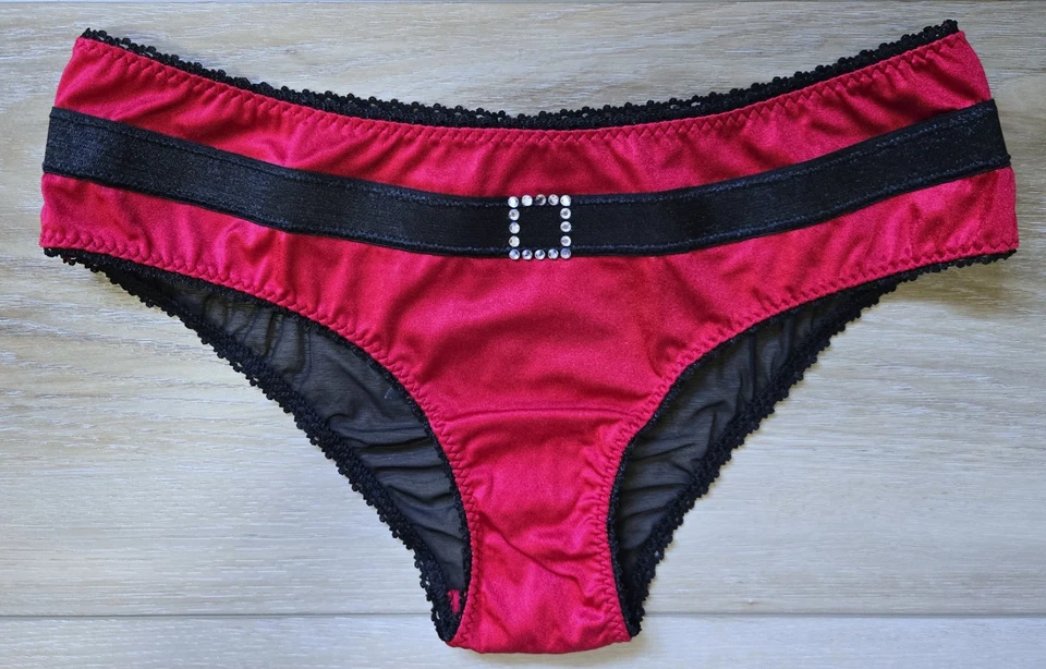 Bragas de bikini vintage de malla satinada de Santa Little Things sexy de Victoria's Secret M Foto 1 de 3