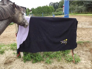 Verkaufe  Abschwitzdecke Gr. 155 cm Lila  - Bild 1 von 4