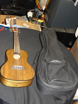 Kala KA-PWC Pacific Walnut Concert Ukulele With Gigbag - Image 1 of 4