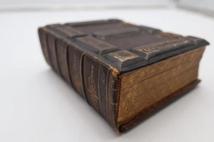 CARTES DE VISITE MANLY AKRON OH FOTOALBUM 24 FAMILIENPORTRAITS ROSIE CLARK GOLD - Bild 1 von 24