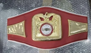 USBA Championship Belt HQ Replica Adult Size - Picture 1 of 2