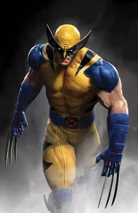 WOLVERINE #4 UNKNOWN COMICS RAFAEL GRASSETTI EXCLUSIVE VIRGIN VAR (12/04/2024) - Picture 1 of 2