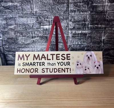 Imán impermeable para coche para perros (mi maltés es más inteligente que tu estudiante de honor) Foto 1 de 3