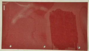 Jaguar Crimson showroom Sample on Acetate 10.5." x 6" or 10" x 5" - Picture 1 of 1