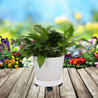  Movable Plant Stand Holder Base Balcony Flowerpot Tray Pallet Thicken Pulley