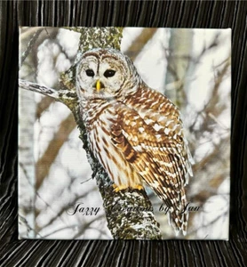 EULE VERGITTERTE EULE LEINWANDBILD NATUR LEINWANDBILD CANVAS PRINT VOGEL - Bild 1 von 2