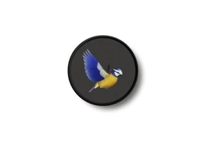 Patch toppe toppa badge termoadesiva uccello ref1 - Picture 1 of 1