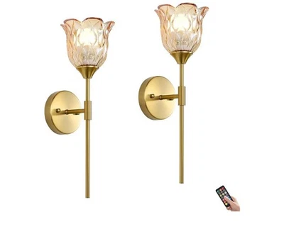 2 Pack Battery Wall Lamps Sconces RGB LED W/ Remote Glass Shades Gold Color - Image 1 of 4