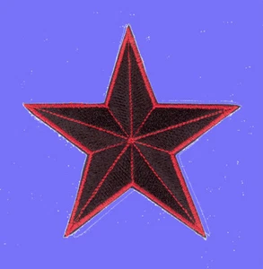 PARCHE BORDADO  ESTRELLA NEGRA - Imagen 1 de 1