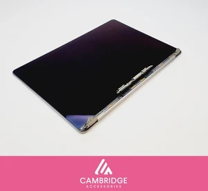 Scarso MacBook Pro 16" 2019 A2141 Schermo LCD Display Assemblato Grigio Siderale - Foto 1 di 9