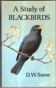 Study of Blackbirds : David William Snow - Imagen 1 de 2