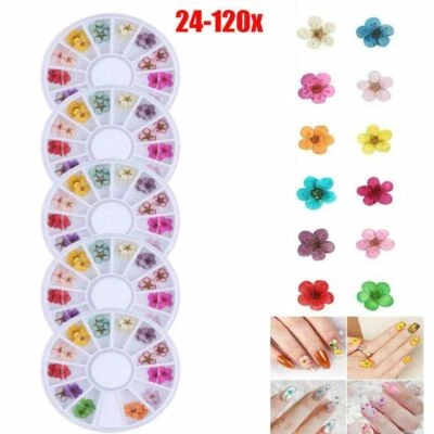Juego de caja de manicura 24-120X flores secas reales 3D arte en uñas diseño hágalo usted mismo puntas Foto 1 de 4