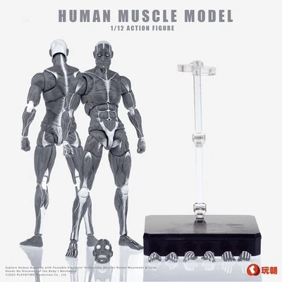 Keepgoing Studio Human Muscle Model Grey Ver. 1/12 Action Figure Gift Stock 6" - Image 1 of 4