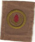 BOY SCOUT FORESTRY SQUARE MERIT BADGE (TYPE A) OVERSIZE