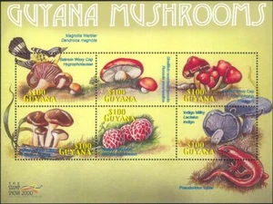 Guyana 2000 Fungi/Mushrooms/Plants/Nature/Warbler/Birds/Salamander 6v m/s b2232s - Picture 1 of 1