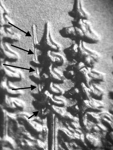 2005 P Long Die Gouge & Extra Pole In Tree Ch/Gem BU/Unc. Minn Quarter Errors Cover