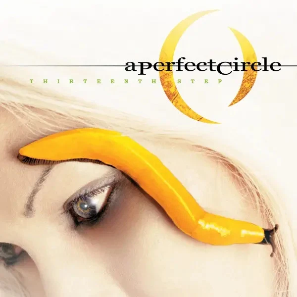 A Perfect Circle Thirteenth Step NEAR MINT Virgin 2xVinyl LP - Bild 1 von 1