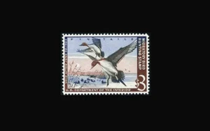 USA Federal Duck Stamp-Mint OG&NH, Super b S#RW29 GEM with extra large margins - Picture 1 of 1