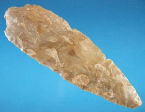 Sehr feine authentische Kentucky Rattenschwanz Adena Spitze mit SCA COA Pfeilspitzen - Bild 1 von 3