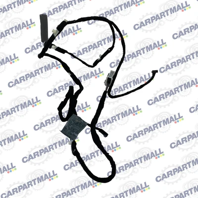 Arnés de cableado de luz panel puerta trasera derecha BMW 745i 745Li 2002-2005 6913147 OEM Foto 1 de 4