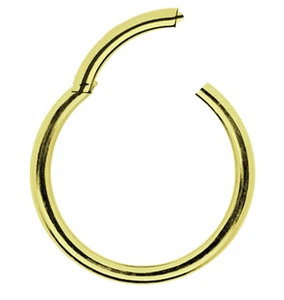 Intim Piercing Schmuck Smooth Segment Clicker Scharnier Ring vergoldet in 1,6mm - Bild 1 von 2