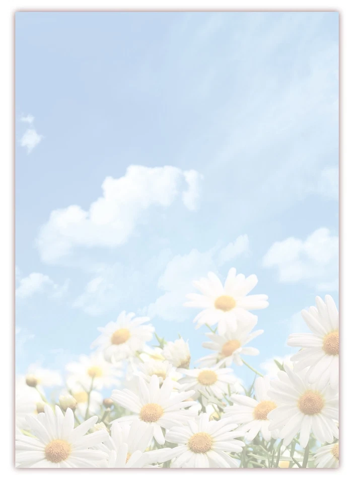 LYSCO® Motiv Briefpapier (Margeriten-5030, DIN A4, 25 Blatt). Briefpapier Blumen Himmel