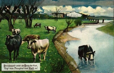 Rinder, Dünger, Phosphat, Kali, 1914 in Horneburg versandt - Bild 1 von 2