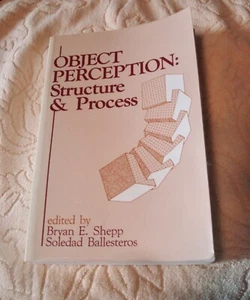Object Perception: Structure & Process - Bild 1 von 1