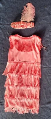 1920's Flapper Costume Toddlers 3T/4T Pink fringe dress Halloween wedding party - Image 1 of 4