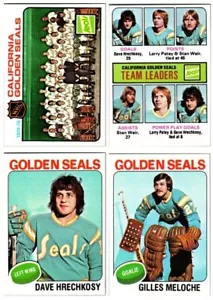 1975-76 Topps Hockey NHL California Golden Seals Team Set of 15 Cards - Picture 1 of 3