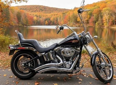 2010 Harley-Davidson Softail 2010 Harley-Davidson Softail Custom FXSTC - Image 1 of 4