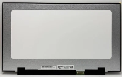 Pantalla LED 17.3" Sharp LQ173M1JW03 1920x1080 Mate eDP 40Pines 300Hz 18010-1734 - Immagine 1 di 2